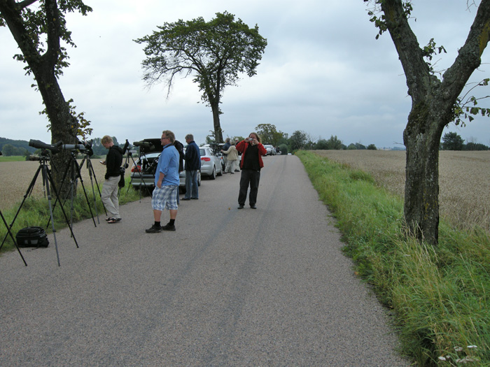 Norra Grönby